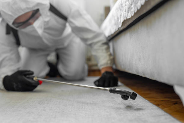 Professional Bed Bug Control technician working in Atoka County County, OK